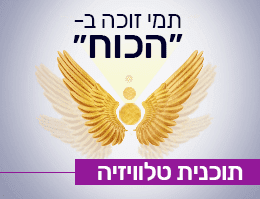 מי זוכה בהכוח
